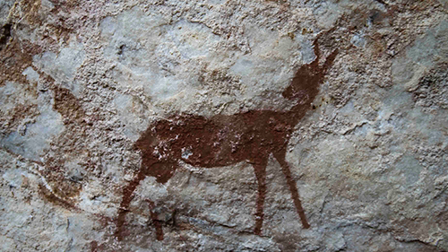 Anthropology Program