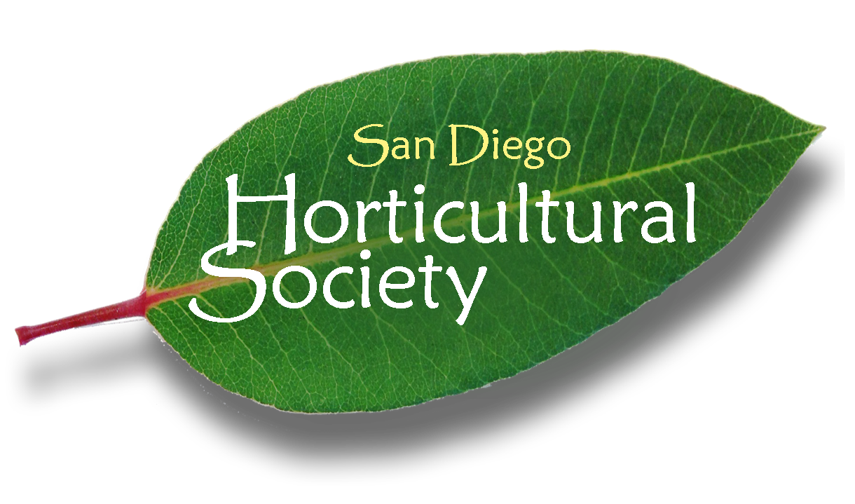 SDHS Logo