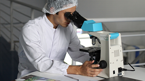 Biology Pre-Allied Health Program at Cuyamaca College