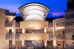 Visual and Performing Arts ACP