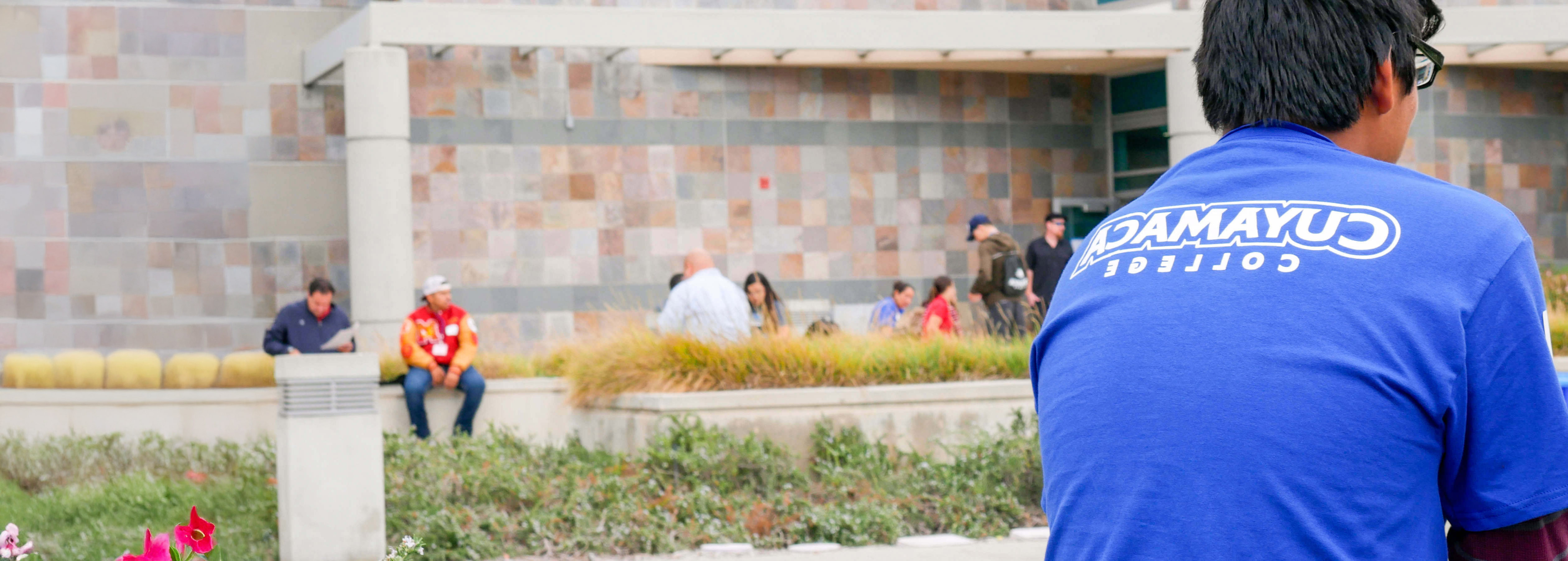 Undocumented Student Admissions Cuyamaca College