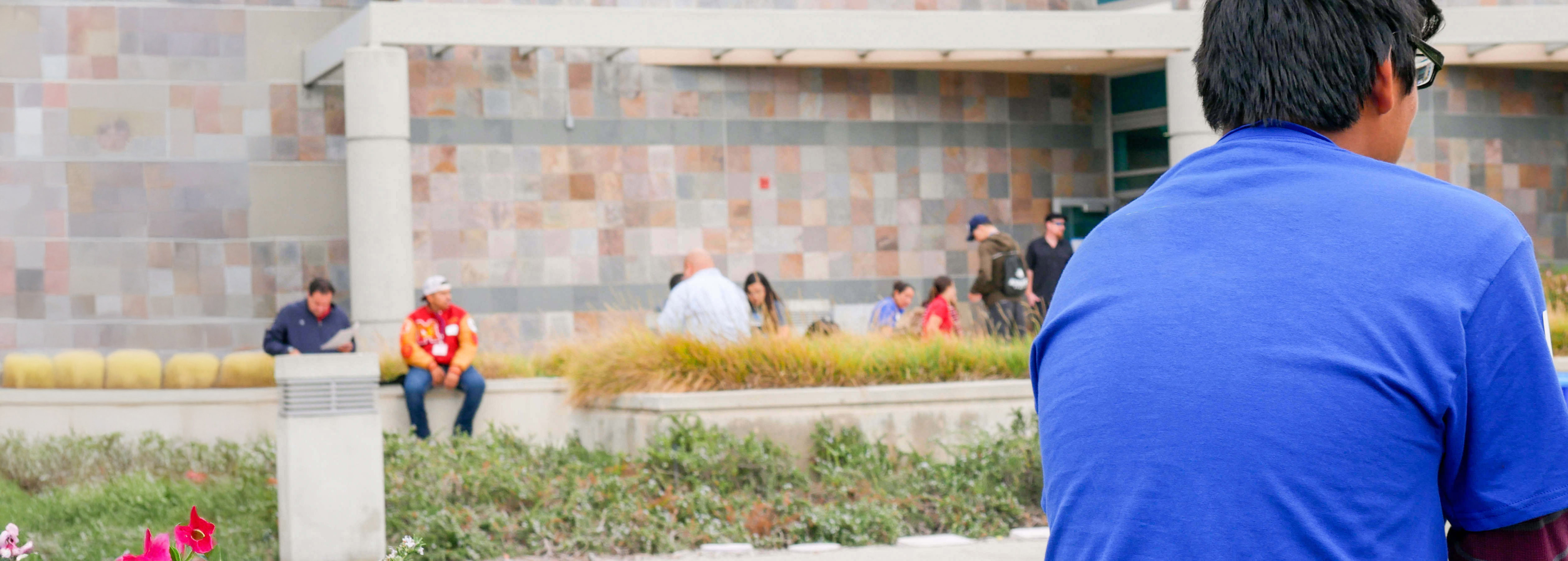 Undocumented Student Admissions Cuyamaca College